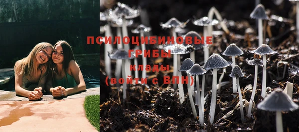 гидропоника Богородск