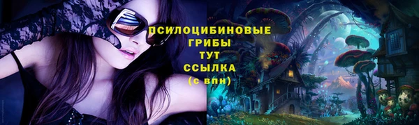 дурь Богданович