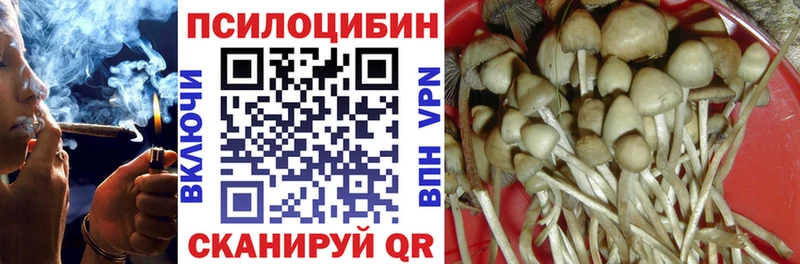МЕГА ссылка  Демидов  Псилоцибиновые грибы мицелий 